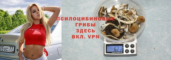 ГАЛЛЮЦИНОГЕННЫЕ ГРИБЫ Аркадак