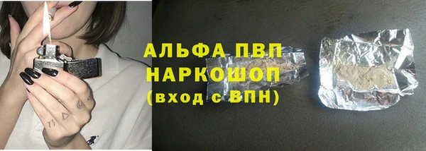 ГАЛЛЮЦИНОГЕННЫЕ ГРИБЫ Аркадак