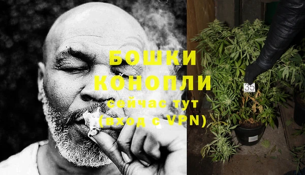 СК Пересвет