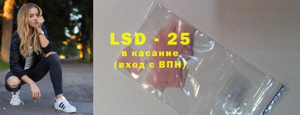 ГАЛЛЮЦИНОГЕННЫЕ ГРИБЫ Аркадак