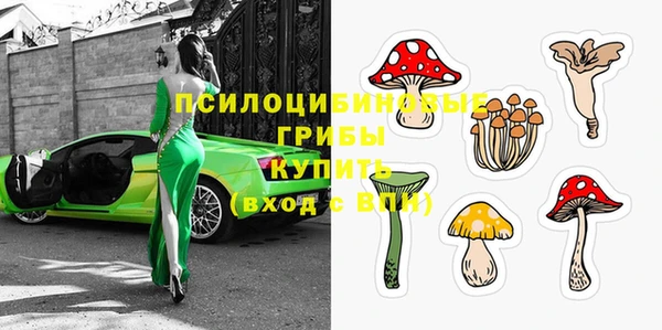 ГАЛЛЮЦИНОГЕННЫЕ ГРИБЫ Аркадак