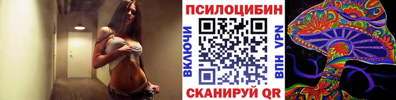 Псилоцибиновые грибы мицелий  кракен зеркало  Томмот  сколько стоит 